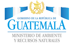 ministerio de ambiente y recursos